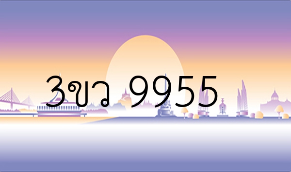 3ขว 9955